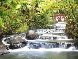 Tabacon Grand Spa Thermal Resort أرينال المظهر الخارجي الصورة